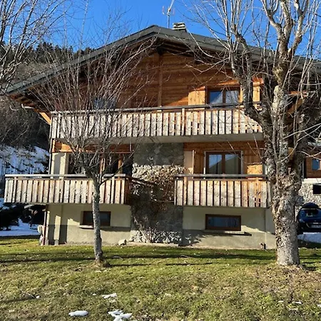 2 Ch, 6 Pers, Balcon Sud, Pres Remontees, Wi-fi, Parking Prive - Fr-1-671-53 Les Gets
